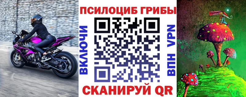 купить  цена  Озёры  Псилоцибиновые грибы мухоморы 